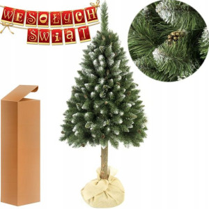 Choinka Sosna Diamentowa Na Pniu 220 Cm + Gratisy