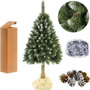Choinka Sosna Diamentowa Na Pniu 220 Cm + Gratisy