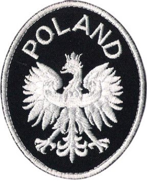 Orzełek Godło RP POLAND NASZYWKA 96R