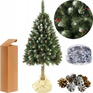 Choinka Diamentowa Z Ostrokrzewem 220 Cm + Gratisy