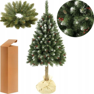 Choinka Diamentowa Z Ostrokrzewem 160 Cm + Gratisy