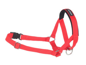 Amiplay Halter Obroża Uzdowa Uzda Kaganiec Psa Xl