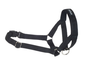 Amiplay Halter Obroża Uzdowa Uzda Kaganiec Psa Xl