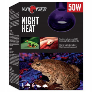 Repti Planet Żarówka Grzewcza Night Heat 50w