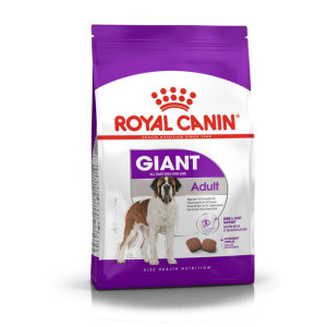 ROYAL CANIN Giant Adult Karma Sucha Dla Psów Dorosłych Od 18/24 Miesiąca Ży