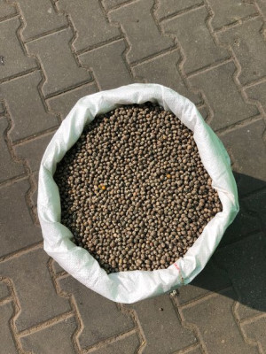 Łubin gorzki 1kg