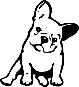 Naklejka BULDOG FRANCUSKI 13,2 X 12 CM