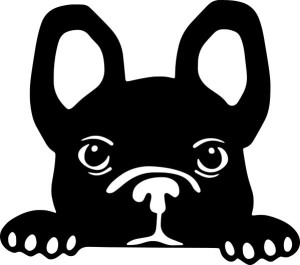 Naklejka BULDOG FRANCUSKI 14 X 15,8 CM