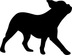 Naklejka BULDOG FRANCUSKI 14 X 18,3CM