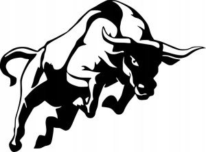 Naklejka BYK BULL 21 X 28,6 CM