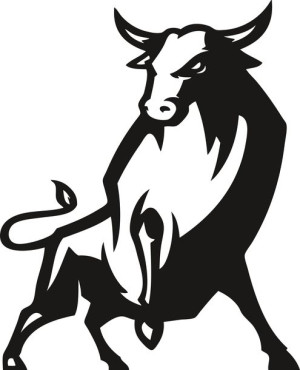 Naklejka BYK BULL 22,2 X 18 CM