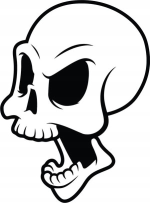 Naklejka CZASZKA SKULL 20,3 X 15 CM