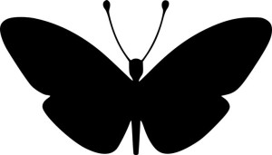 Naklejka Motyl Motyle Motylek 14,8 X 26 Cm