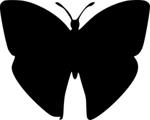 Naklejka Motyl Motyle Motylek 21 X 26,3 Cm