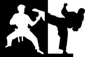 Naklejka na samochód KARATE 10 X 15 CM