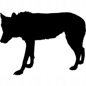 Naklejka na samochód WILK WOLF 10 X 13,4 CM