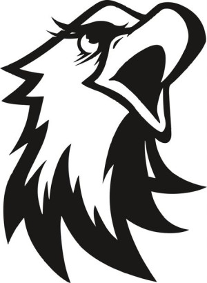 Naklejka ORZEŁ EAGLE 16,4 X 12 CM