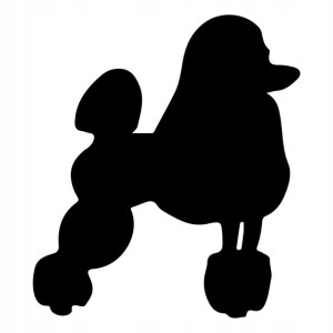 Naklejka PIES PUDEL PUDLE 23,8 X 21 CM