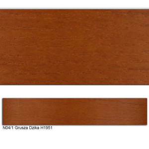 Obrzeże ABS, N04/1 GRUSZA DZIKA 22x0,45 200mb