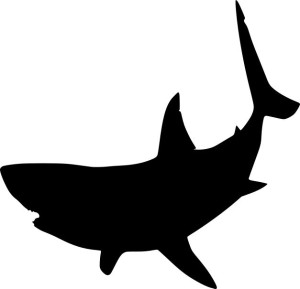 Naklejka REKIN SHARK 10 X 10,4 CM