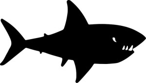 Naklejka REKIN SHARK 10,2 X 18 CM