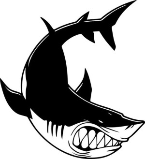 Naklejka REKIN SHARK 15 X 13,7 CM