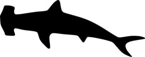 Naklejka REKIN SHARK 4,7 X 12 CM