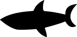 Naklejka REKIN SHARK 7,2 X 15 CM