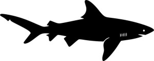 Naklejka REKIN SHARK 7,2 X 18 CM