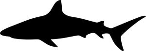 Naklejka REKIN SHARK 7,4 X 21 CM