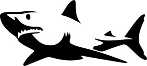 Naklejka REKIN SHARK 8 X 18 CM