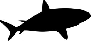 Naklejka REKIN SHARK 8,1 X 18 CM