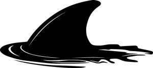 Naklejka REKIN SHARK 9,3 X 21 CM