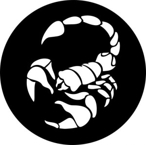 Naklejka SKORPION 10 X 10 CM