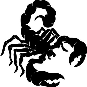 Naklejka SKORPION 14 X 14 CM