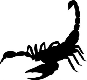 Naklejka SKORPION 14 X 15,3 CM
