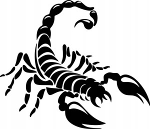 Naklejka SKORPION 14 X 16,3 CM