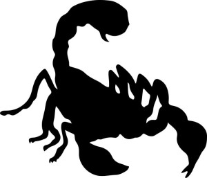 Naklejka SKORPION 14 X 16,3 CM