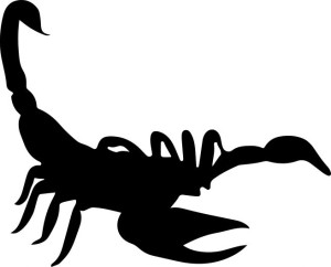 Naklejka SKORPION 14 X 17,3 CM