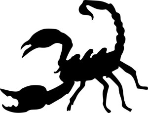 Naklejka SKORPION 14 X 18,4 CM