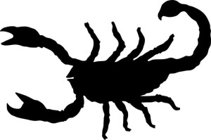 Naklejka SKORPION 14 X 21,1 CM
