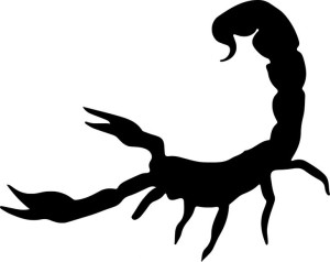 Naklejka SKORPION 16 X 12,1 CM