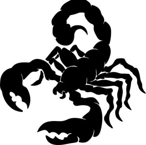 Naklejka SKORPION 16 X 16,2 CM