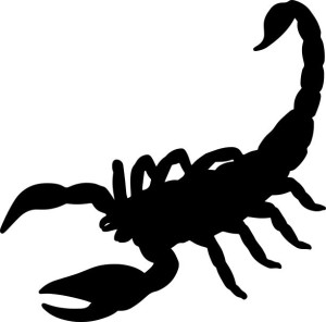Naklejka SKORPION 16 X 16,2 CM