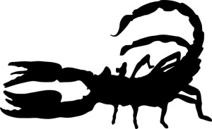 Naklejka SKORPION 16 X 26,2 CM