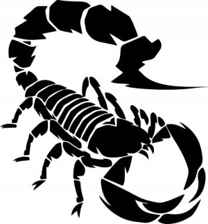 Naklejka SKORPION 19,4 X 18 CM