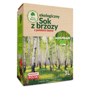 Sok Z Brzozy Bio 3 L - Dary Natury