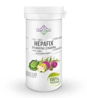 Hepafix Sylimaryna I Cynaryna 120 Kapsułek (560 Mg) - Soul Farm