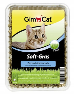 Gimcat Trawa Dla Kota Szybkorosnąca Pojemnik 100g