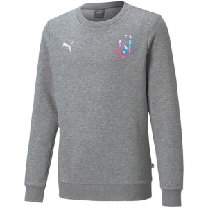 Bluza dla dzieci puma neymar jr creativity szara 605563 06